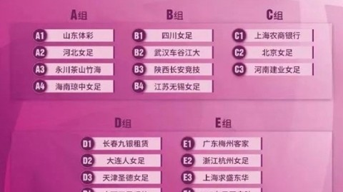 2012赛季中超山东鲁能全赛程：青春险葬送四冠王